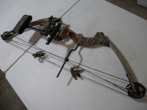 Reflex bighorn hunter compound - hunter,